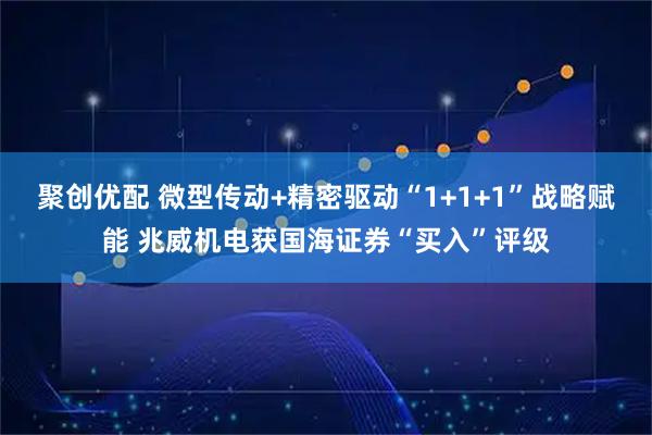 聚创优配 微型传动+精密驱动“1+1+1”战略赋能 兆威机电获国海证券“买入”评级