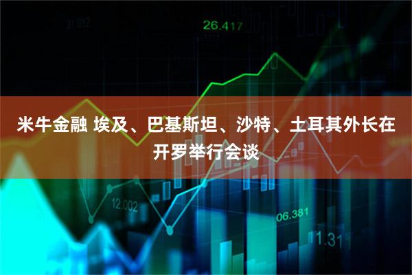 米牛金融 埃及、巴基斯坦、沙特、土耳其外长在开罗举行会谈