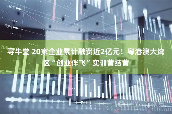 寻牛堂 20家企业累计融资近2亿元！粤港澳大湾区“创业伴飞”实训营结营
